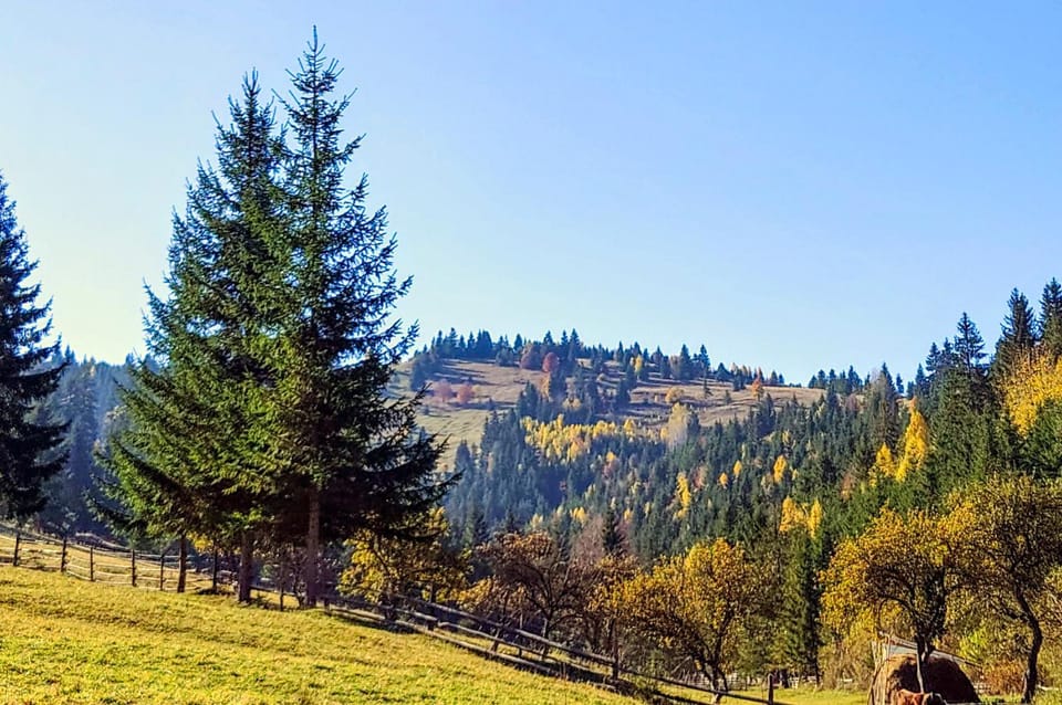 Nearby landmark, Natural landscape, Mountain view