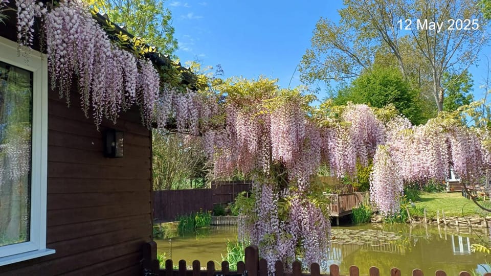 View (from property/room), Garden view, Lake view, Inner courtyard view
