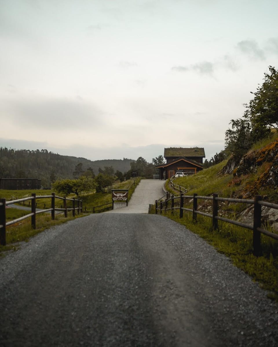 Snerting Ranch Hotel - Comfty and modern Log House House in Trondelag
