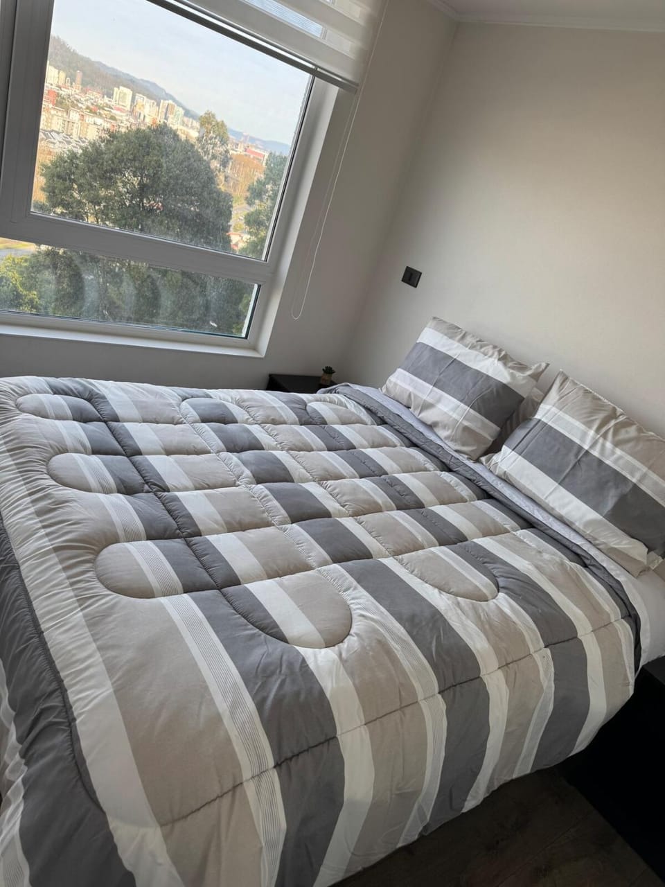 Departamento en Concepción, Frente a Laguna y a minutos del Aeropuerto y centros Comerciales Apartment in Bio Bio, Chile