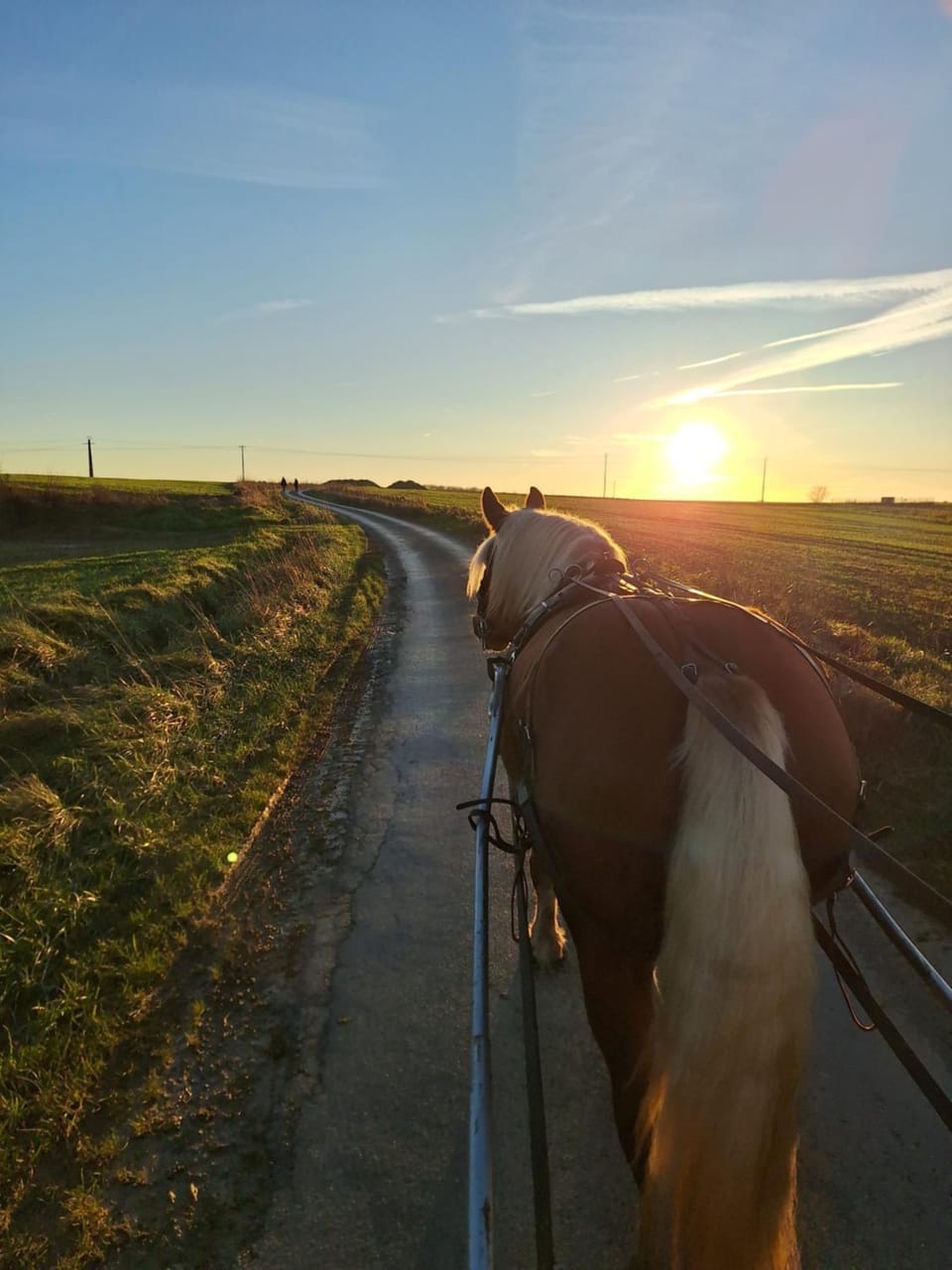 Horse-riding
