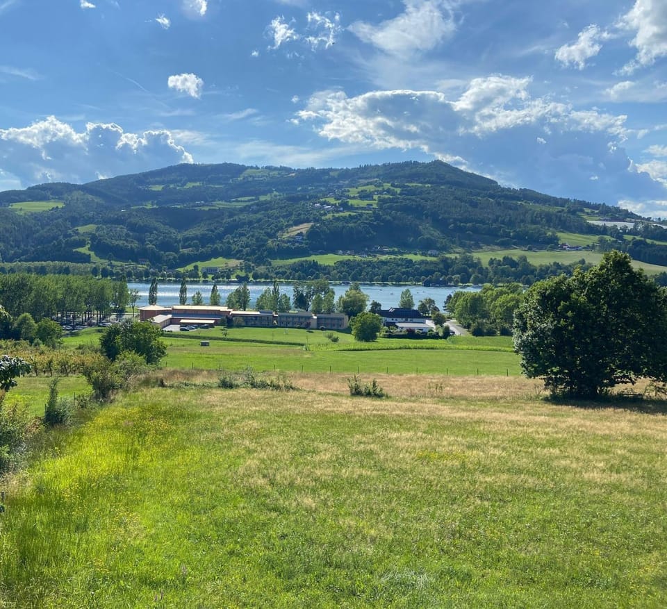 Lake view