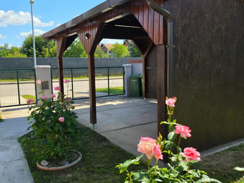 Apartman Golubica Apartment in Vojvodina