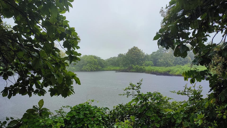 Lake view