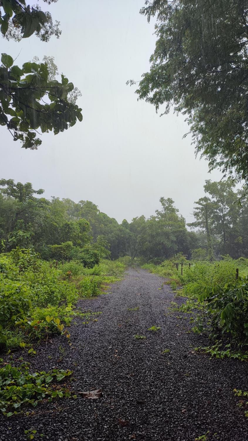 Natural landscape