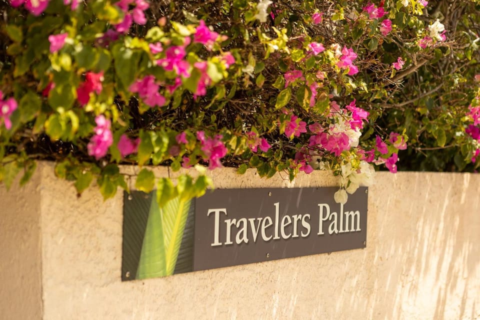 ROYAL PALM SUITE at Travelers Palm Inn Key West House in Key West