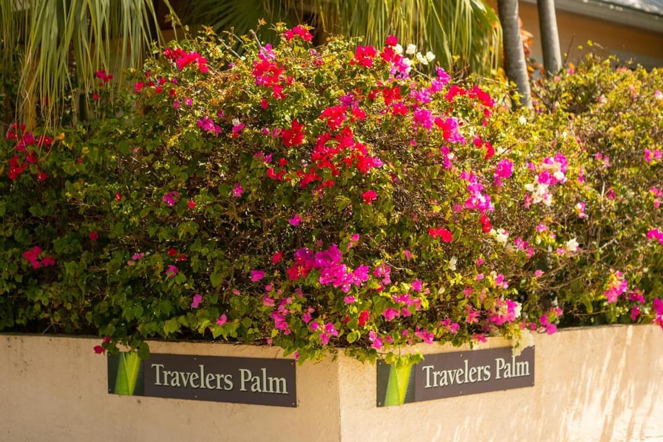 SUGAR PALM SUITE at Travelers Palm Inn Key West House in Key West