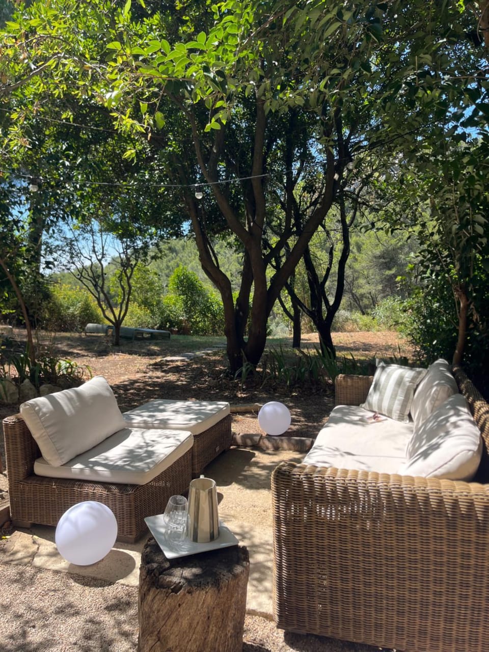 Patio, Garden view