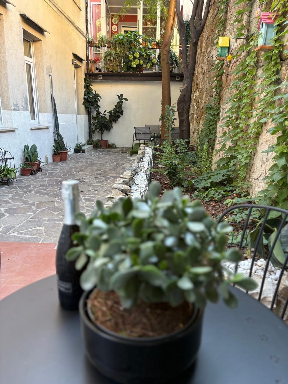 Dining area, Garden view