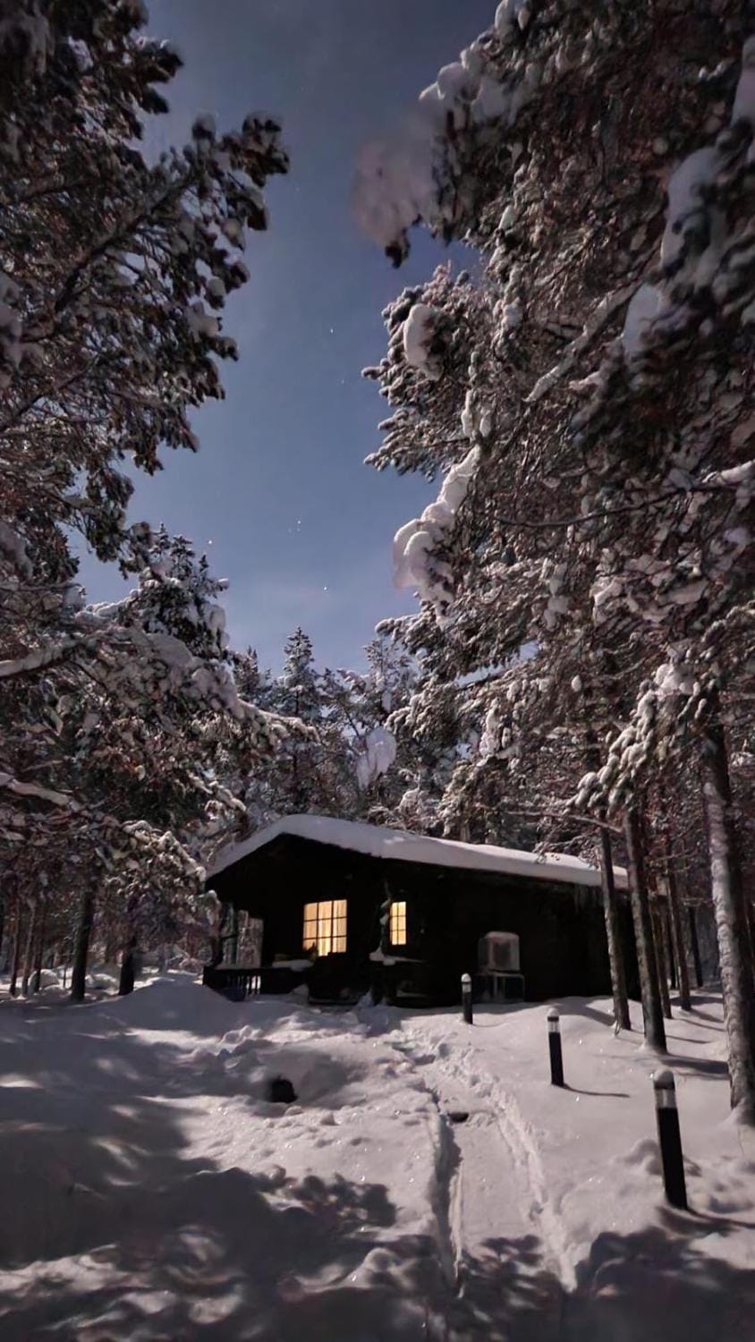 Natural landscape, Winter