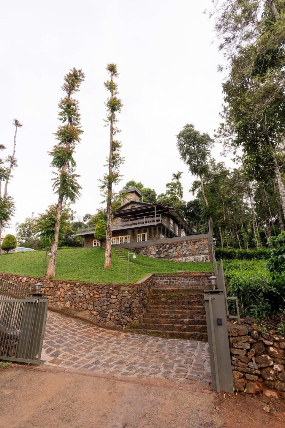Natural landscape, Garden, Garden view