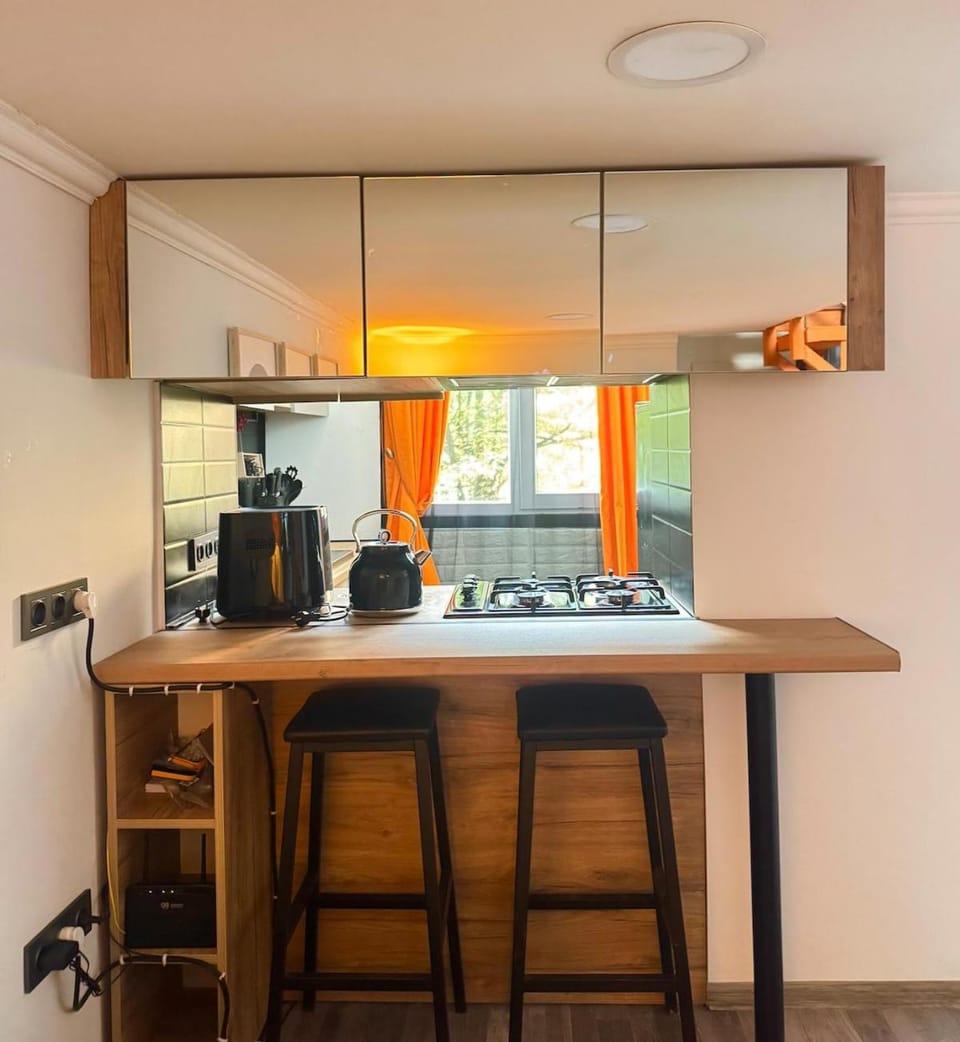 Coffee/tea facilities, Kitchen or kitchenette, minibar, toaster