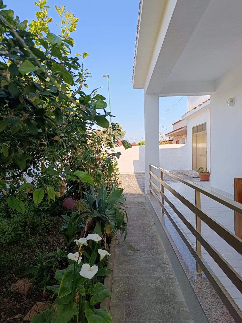Garden, Balcony/Terrace, Garden view