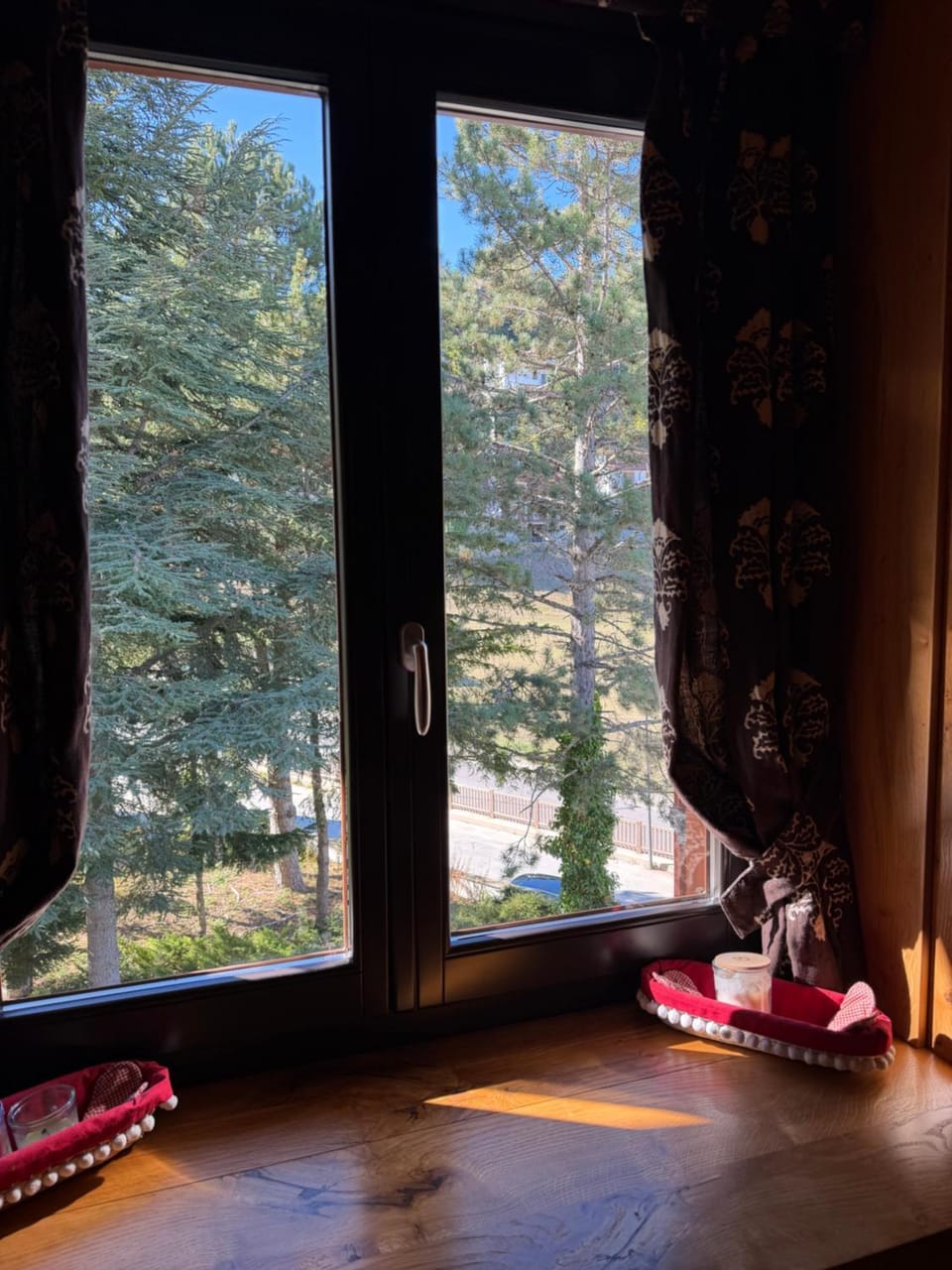 Garden view