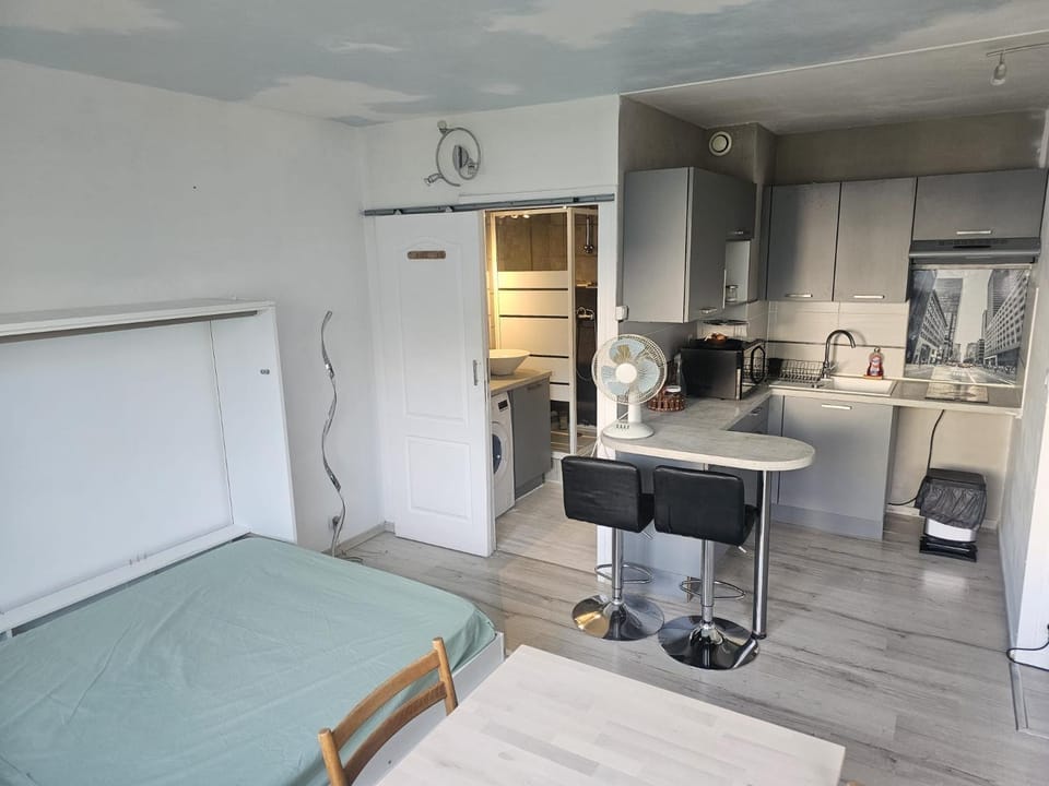 Kitchen or kitchenette, Living room, Seating area, Dining area, Bedroom, oven, stove