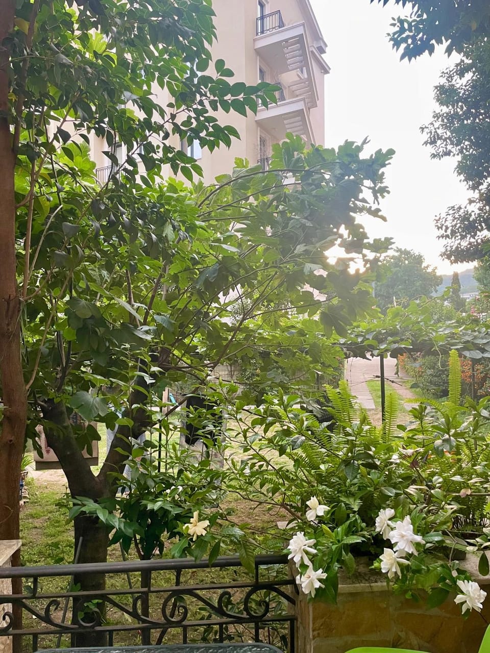 Serenity Studio House Apartment in Budva
