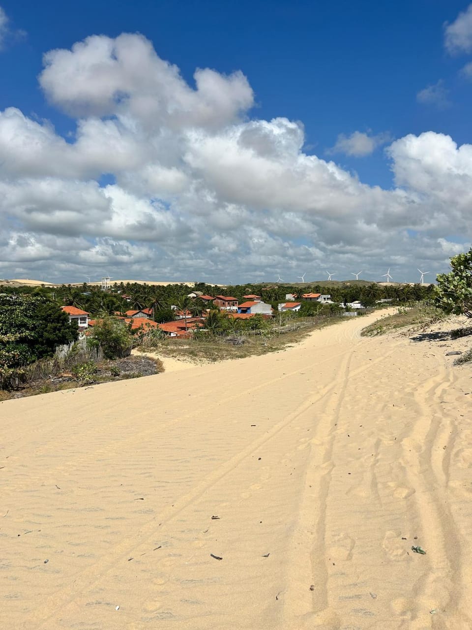 Casa dunna azul House in State of Ceará