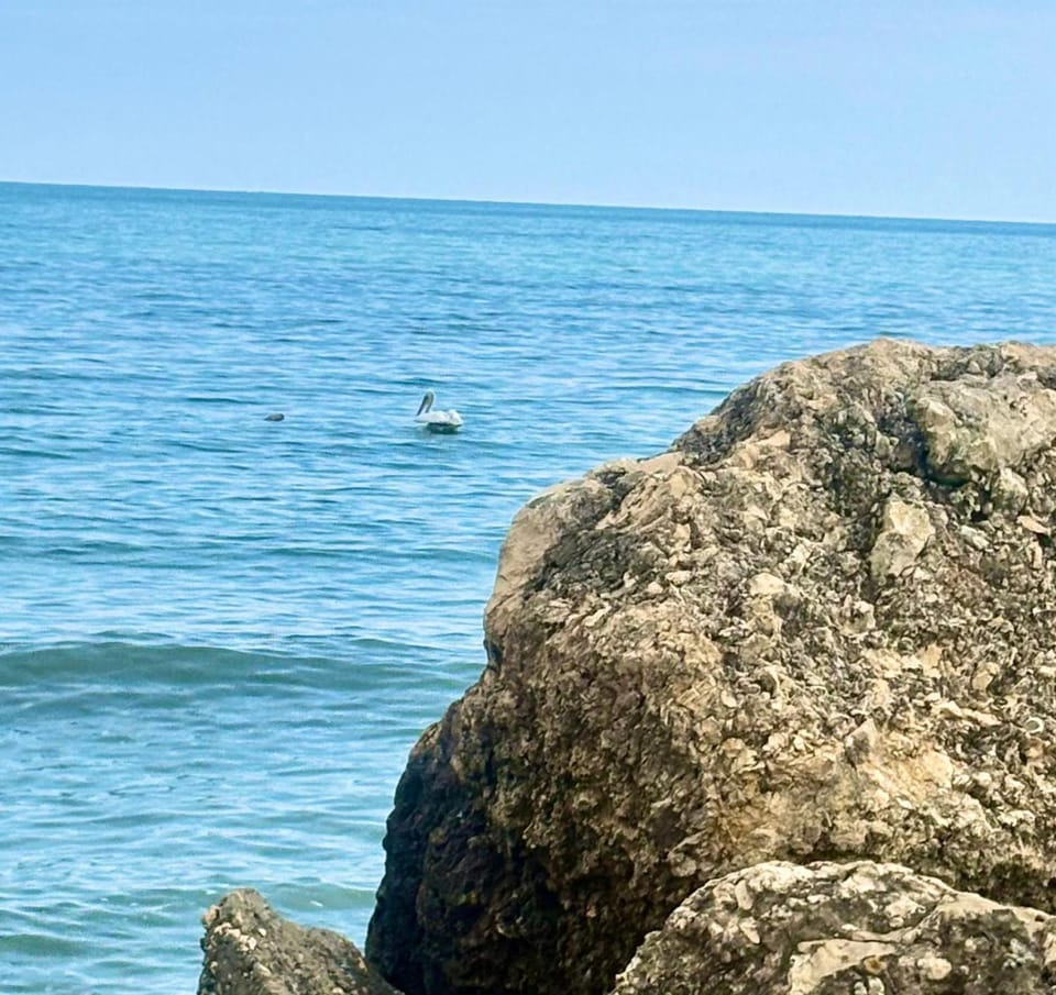 Day, Natural landscape, Beach, Sea view