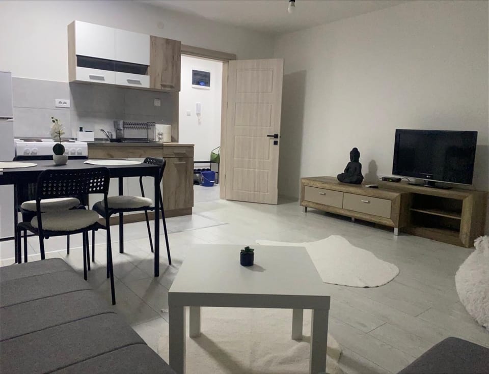 Day and night Apartment in Serbia