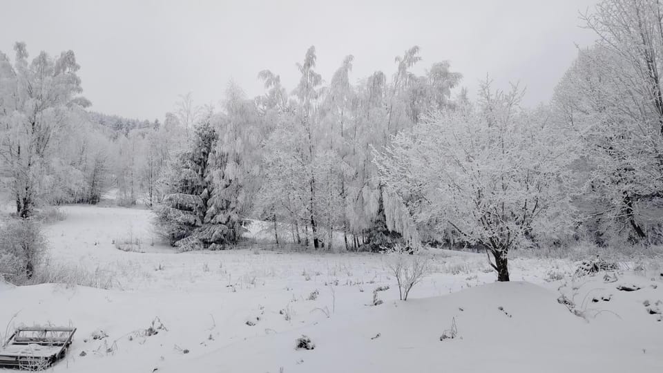 Winter