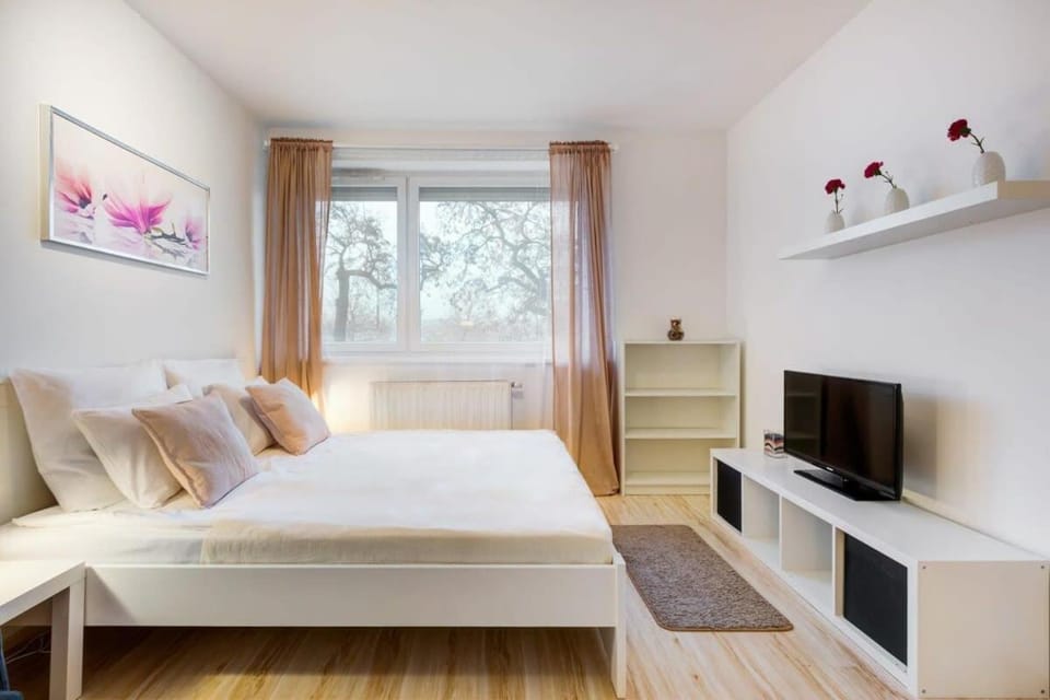 Comfy Studio in Town Apartment in Budapest