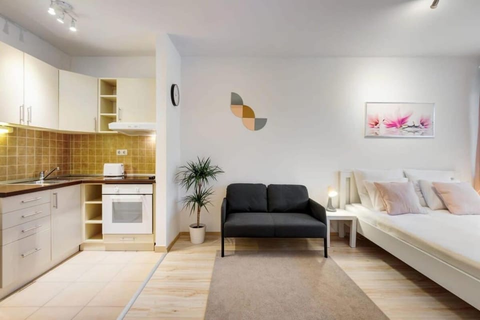 Comfy Studio in Town Apartment in Budapest