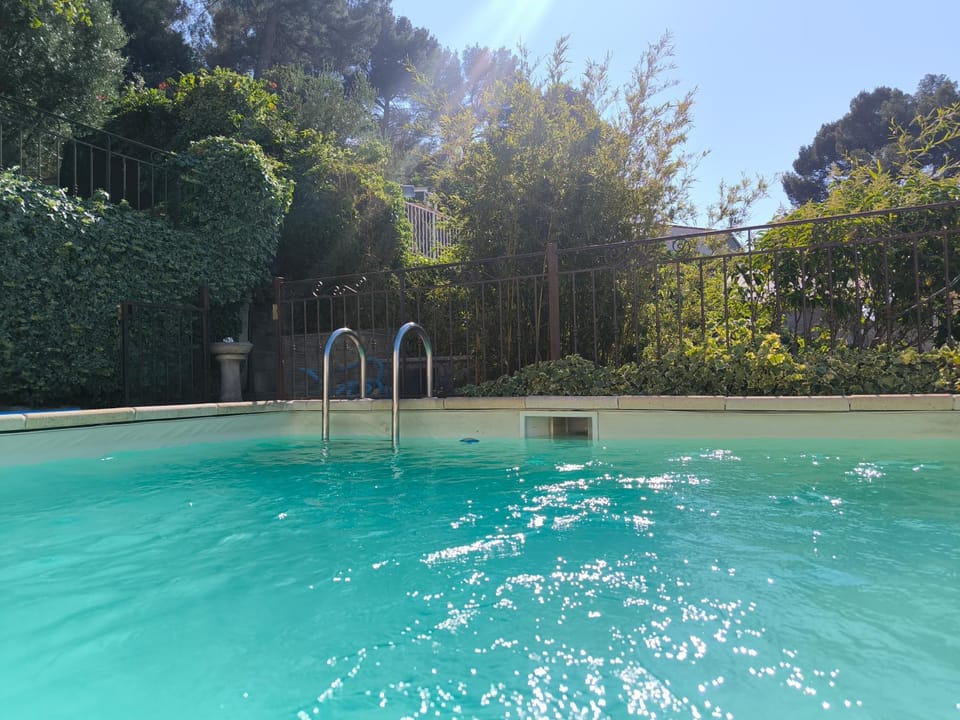 Day, Garden, Garden view, Pool view, Swimming pool