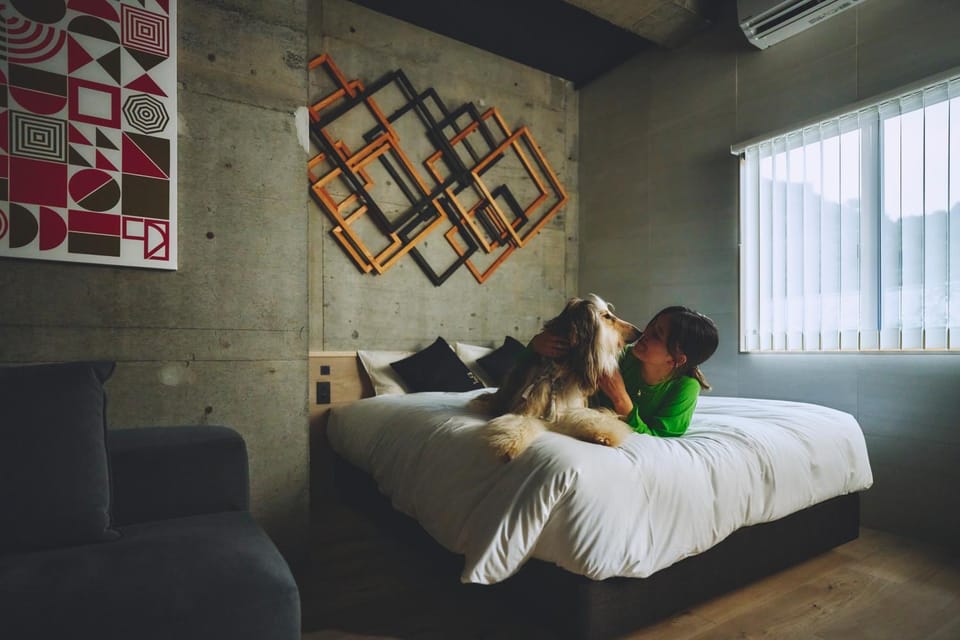 Bed, Photo of the whole room, pet friendly, pet friendly
