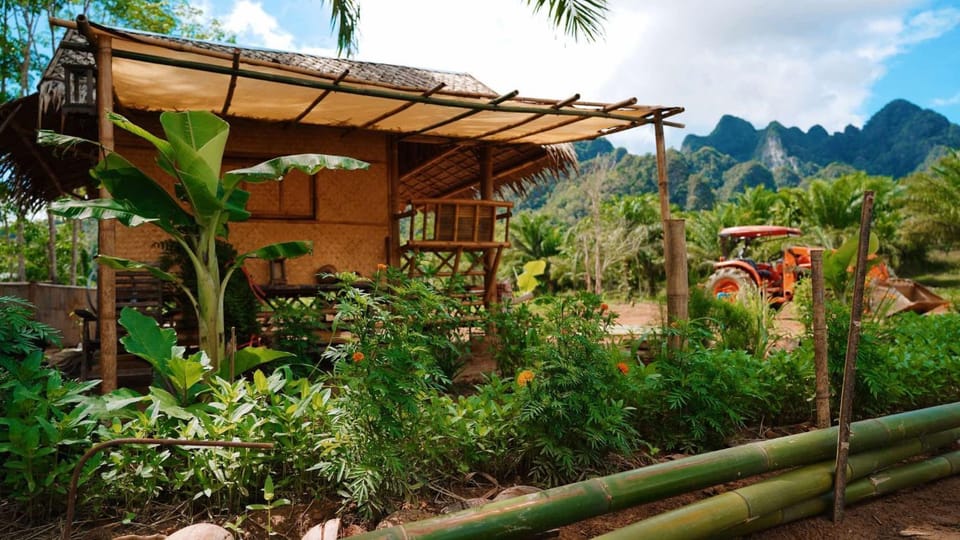 Natural landscape, Garden, Garden view, Mountain view