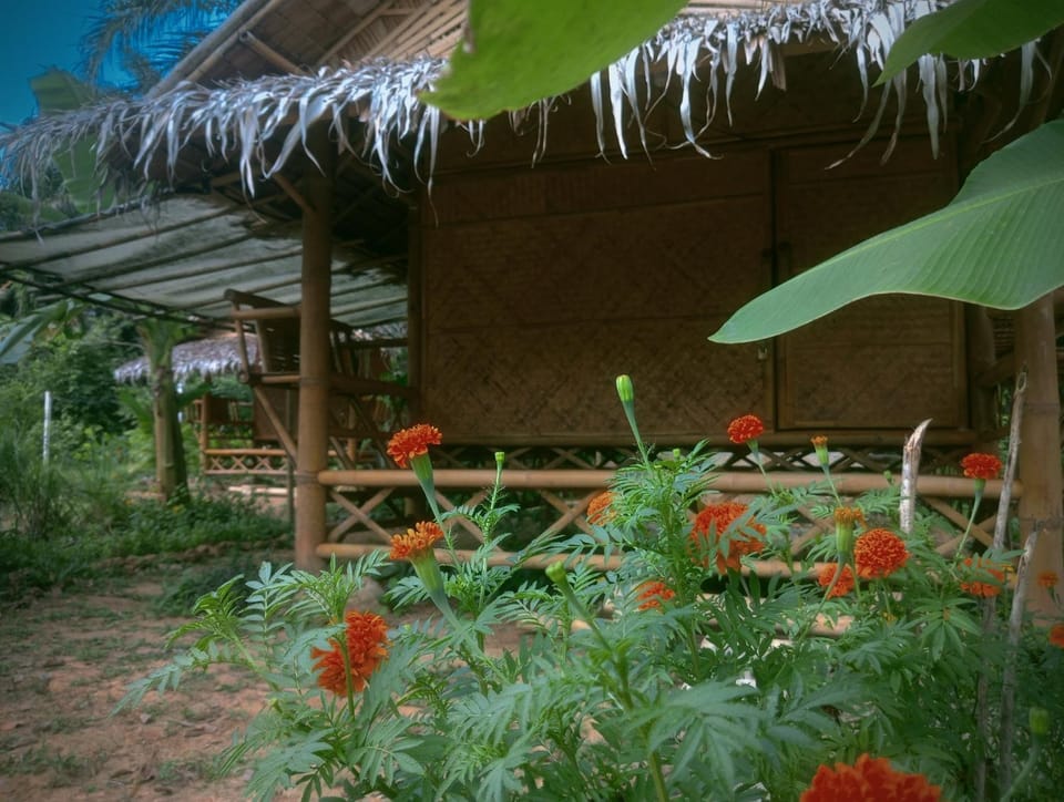 Khaosok Eco House Farm Stay in Khlong Sok