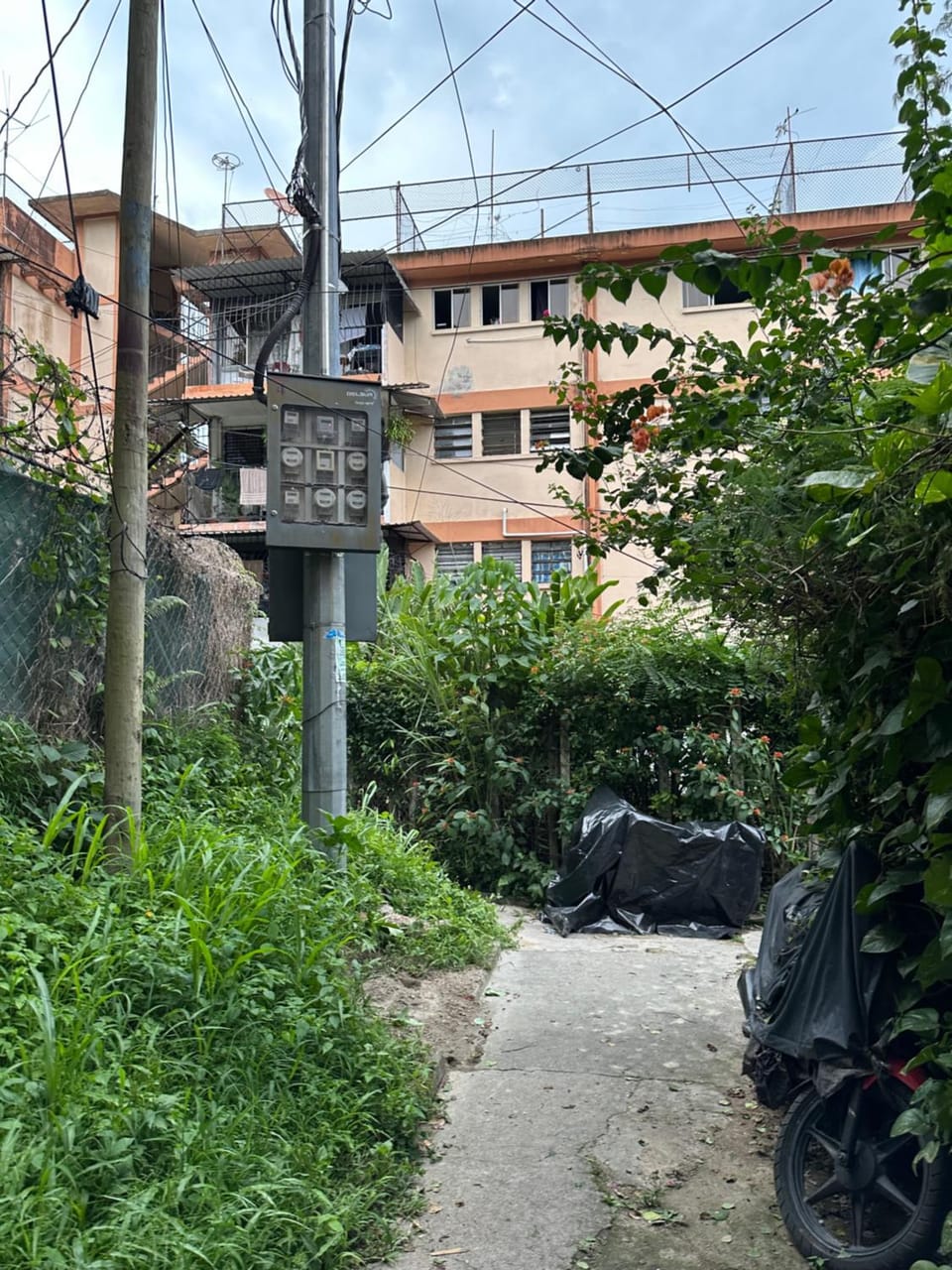 Property building