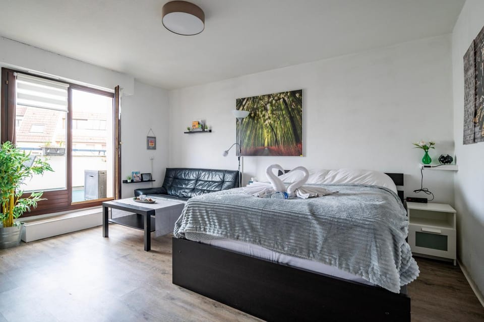 Petit Oasis à Strasbourg Apartment in Eckbolsheim