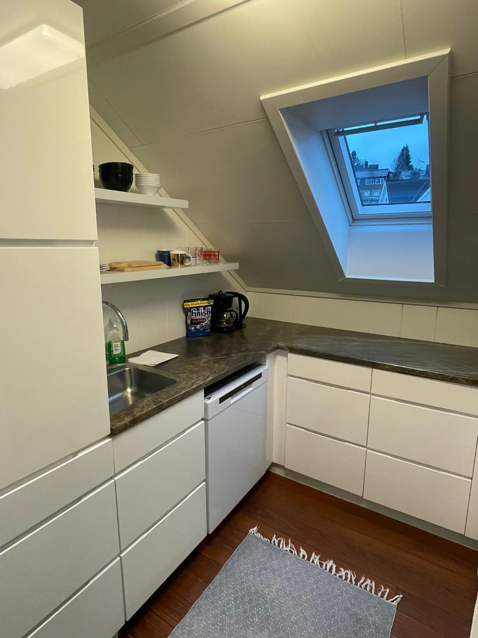 dishwasher, stove, kitchen