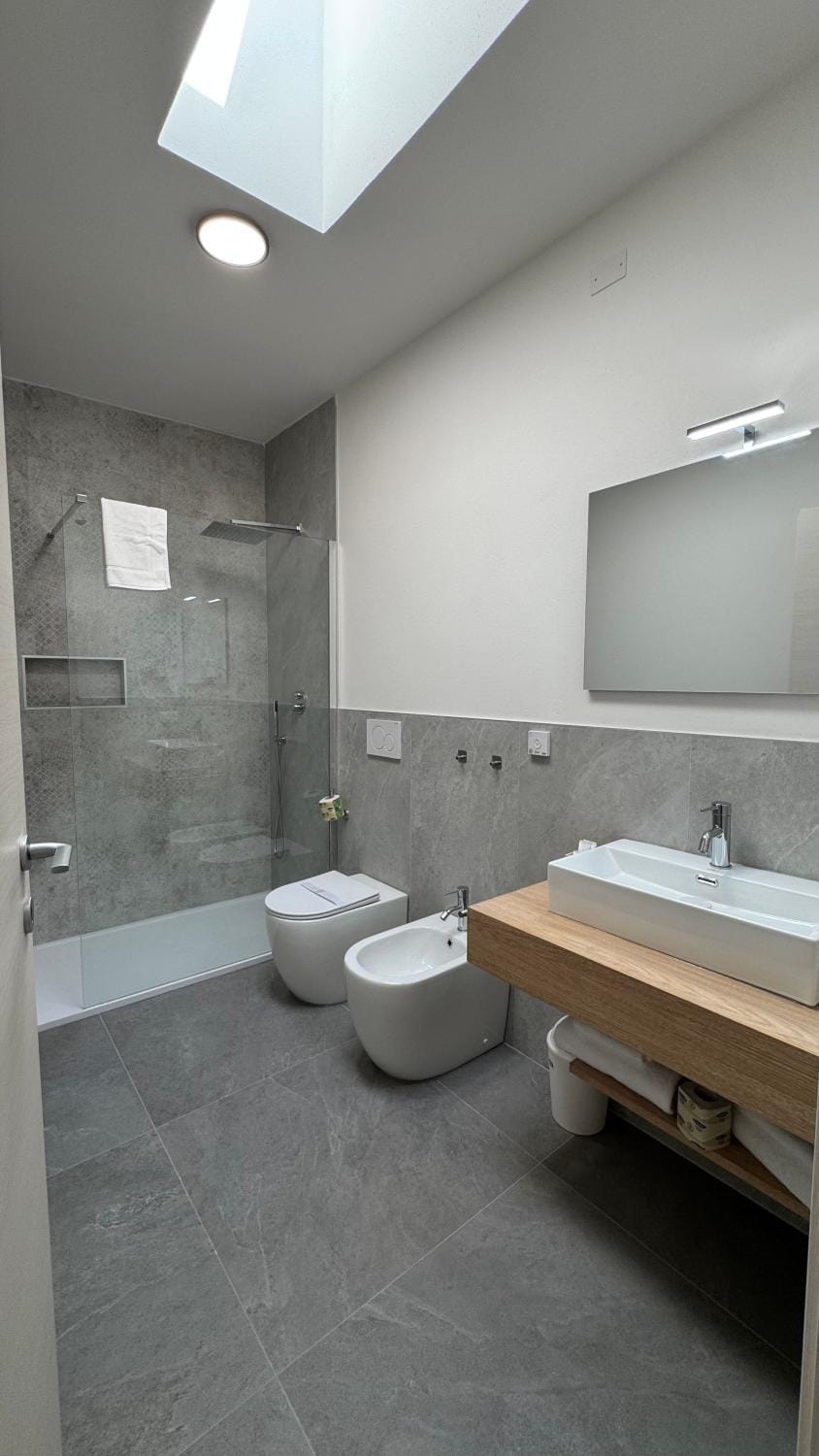 Shower, Toilet, Bathroom, bidet