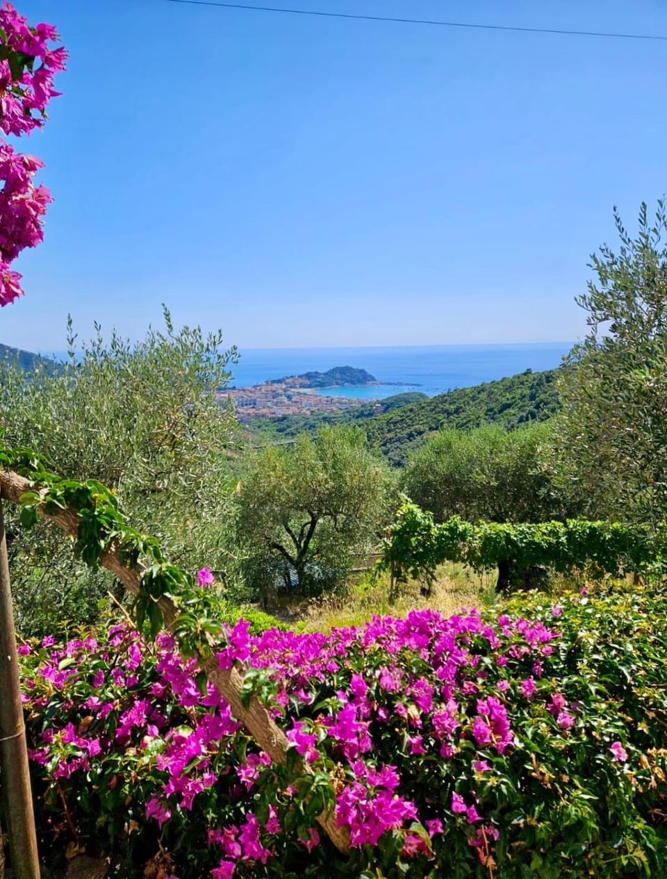 Villa Onde e Ulivi Villa in Sestri Levante