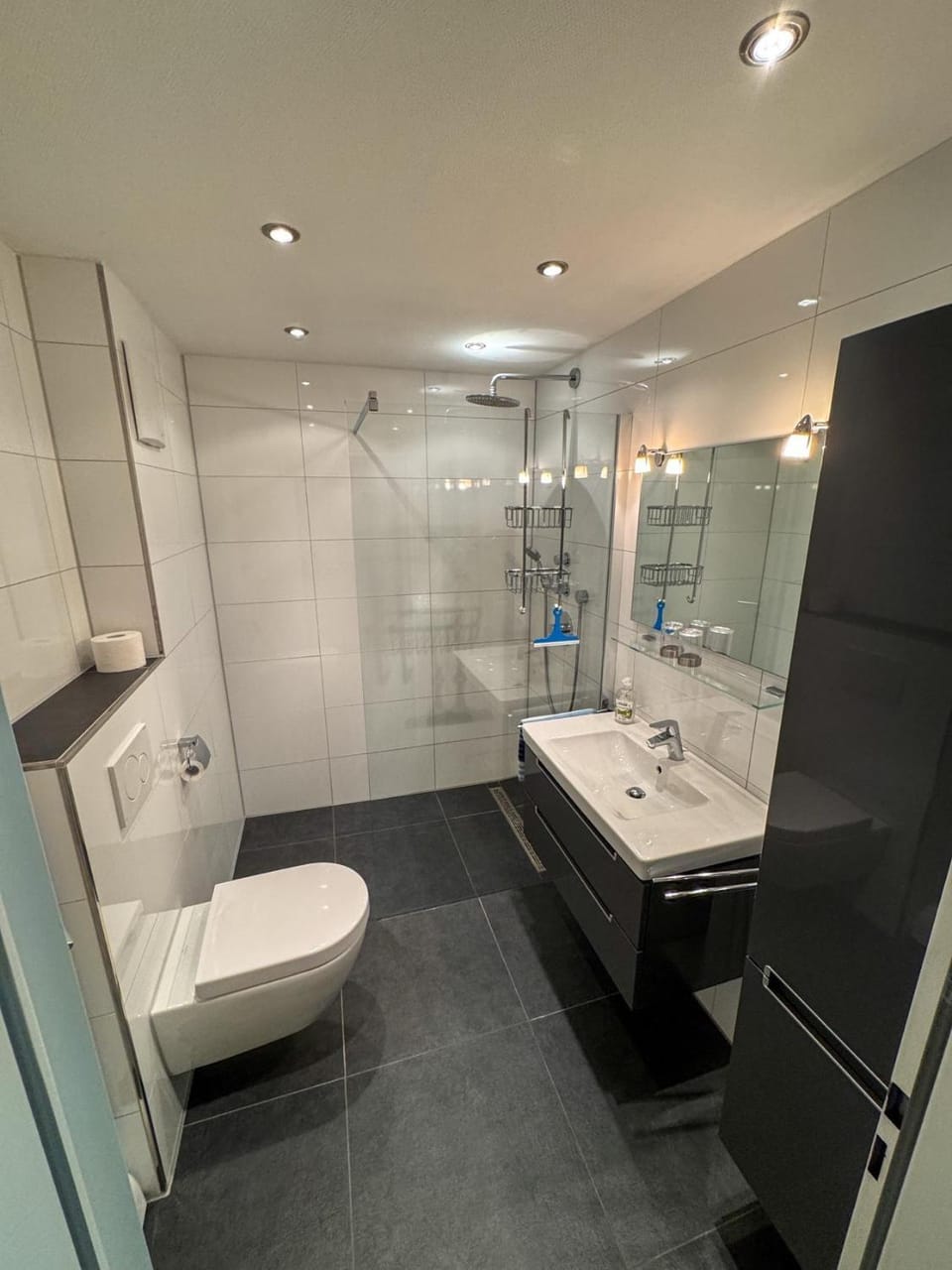 Shower, Toilet, Bathroom