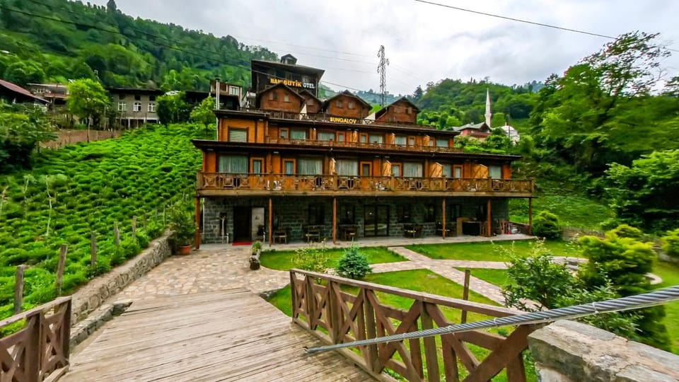 Property building, Natural landscape, Garden