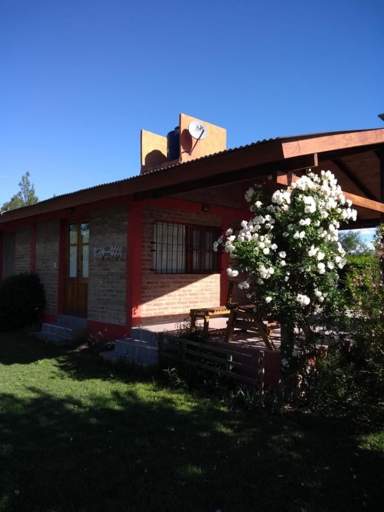 Patio, BBQ facilities, Garden, Area and facilities