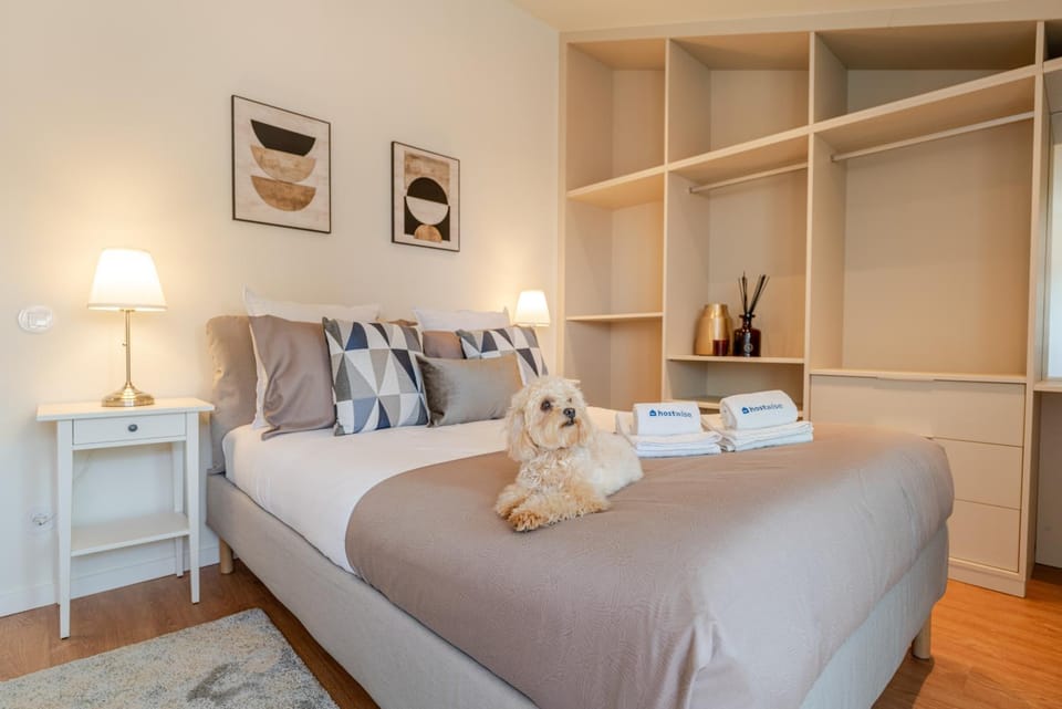 Bed, Bedroom, Pets, towels