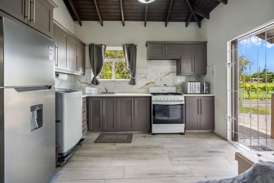 Kitchen or kitchenette, oven, stove