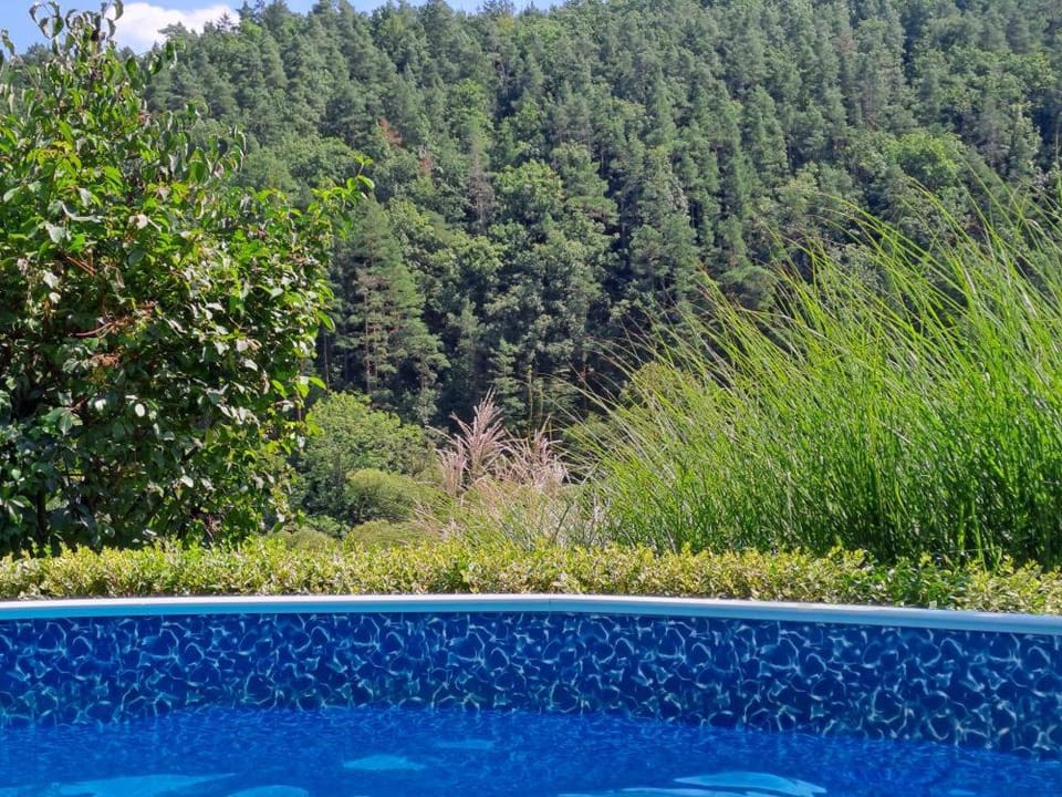 Chata Veronika Apartment in South Moravian Region