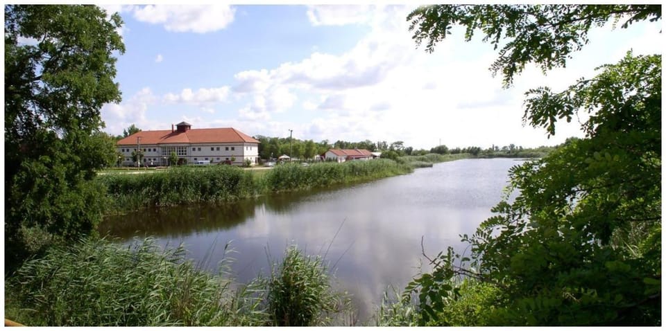 Natural landscape, Beach, River view