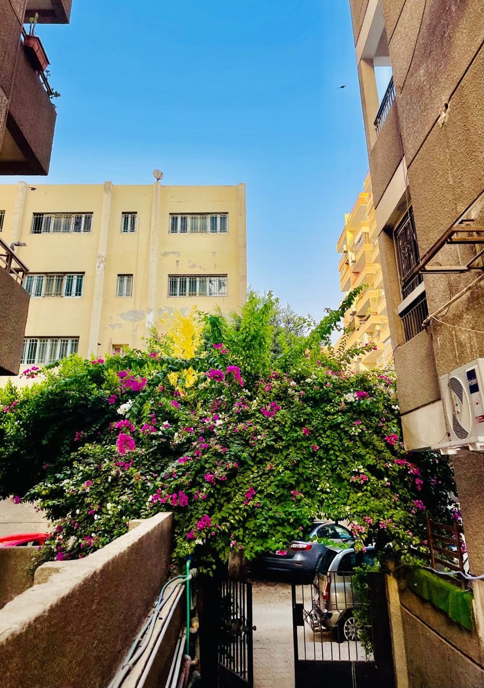 بجوار جنينة مول وشارع عباس العقاد خطوات من ستي ستار وشارع الطيران Apartment in Cairo Governorate