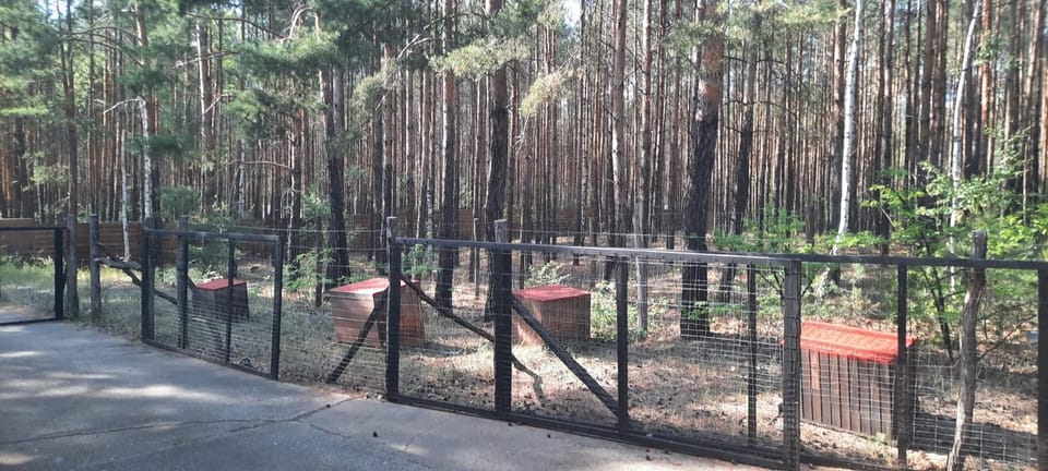 Waldcamp Hundeparadies Campground/ 
RV Resort in Poland