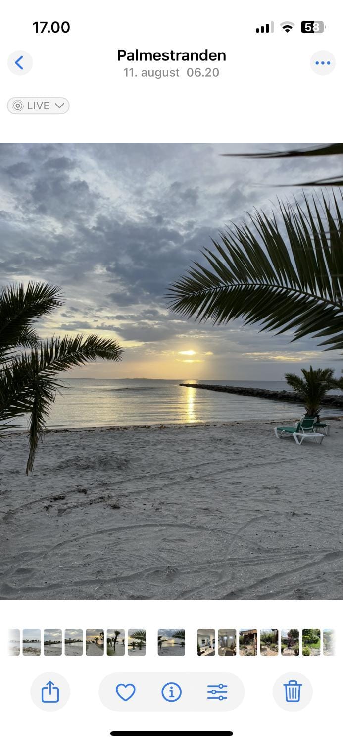 Palm Beach Vacation rental in Frederikshavn