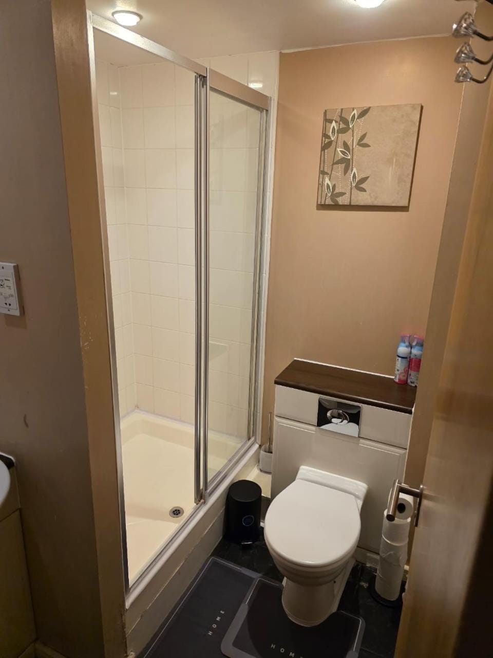 Shower, Toilet
