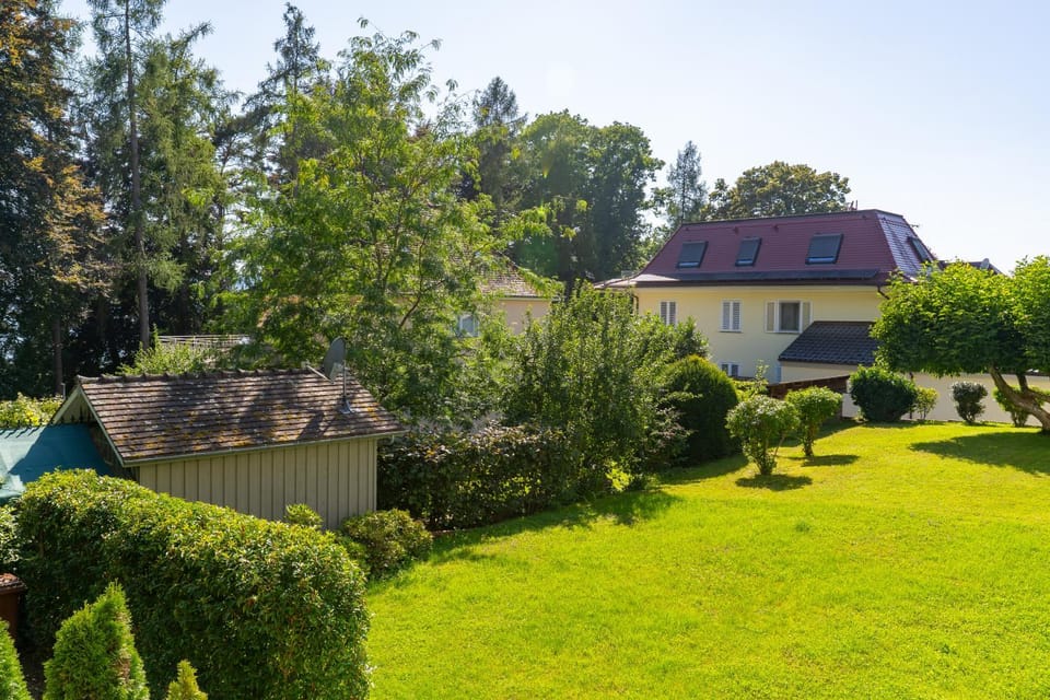 Garden, Garden, Garden view