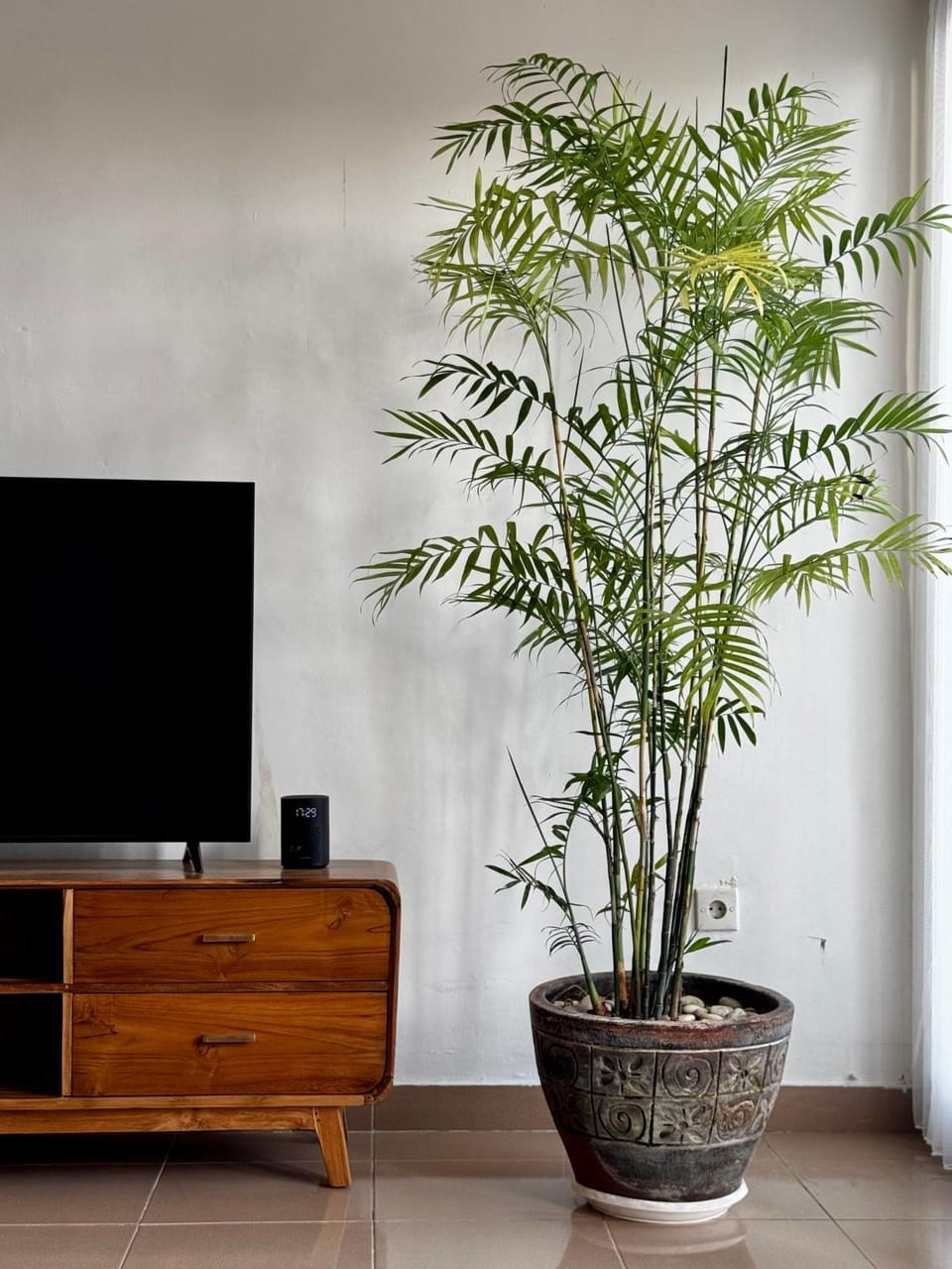 Communal lounge/ TV room, TV and multimedia