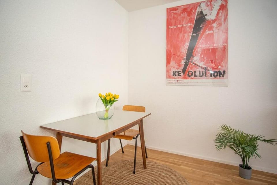 Central Studio Apartment with free BaselCard - Munch Apartment in Basel
