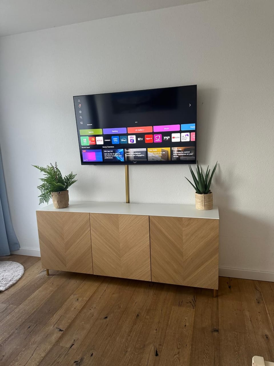 TV and multimedia
